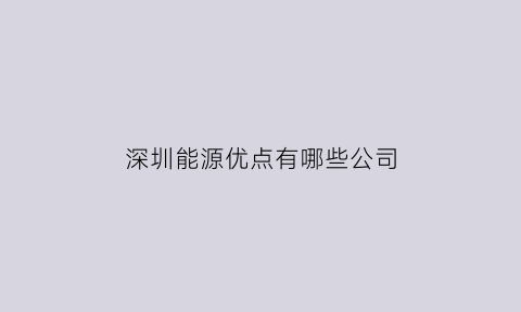 深圳能源优点有哪些公司