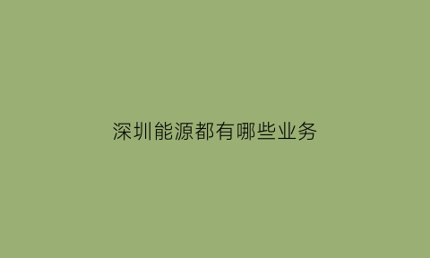 深圳能源都有哪些业务