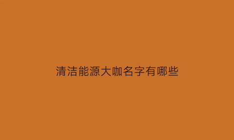 清洁能源大咖名字有哪些