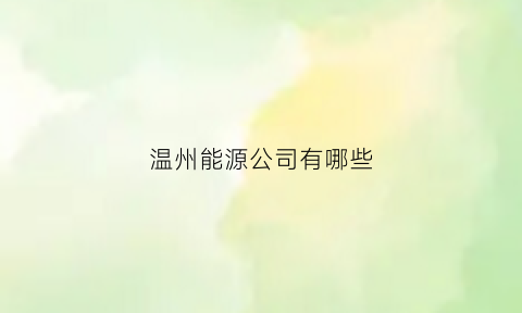 温州能源公司有哪些