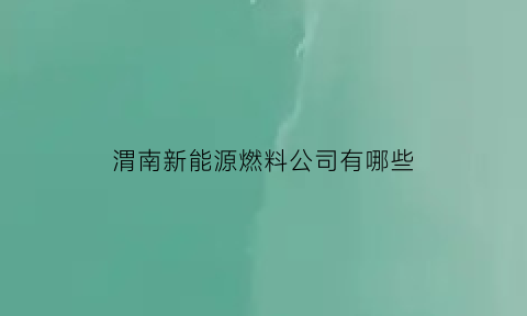 渭南新能源燃料公司有哪些