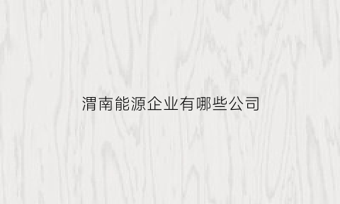 渭南能源企业有哪些公司