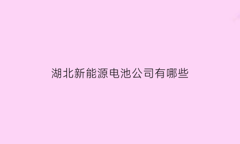 湖北新能源电池公司有哪些