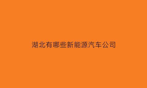 湖北有哪些新能源汽车公司