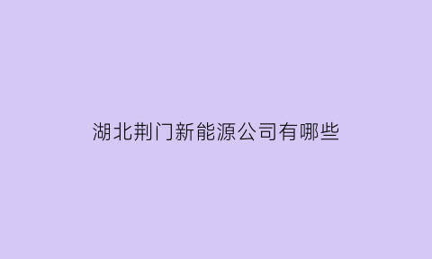 湖北荆门新能源公司有哪些