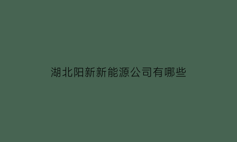 湖北阳新新能源公司有哪些(阳新能源科技有限公司)