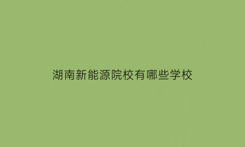 湖南新能源院校有哪些学校