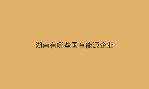 湖南有哪些国有能源企业