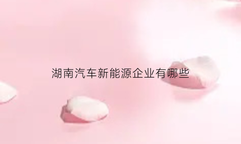 湖南汽车新能源企业有哪些