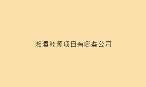 湘潭能源项目有哪些公司(湘潭新能源公司有哪些)