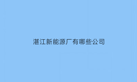 湛江新能源厂有哪些公司