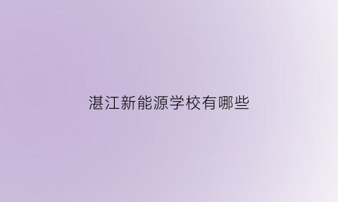 湛江新能源学校有哪些