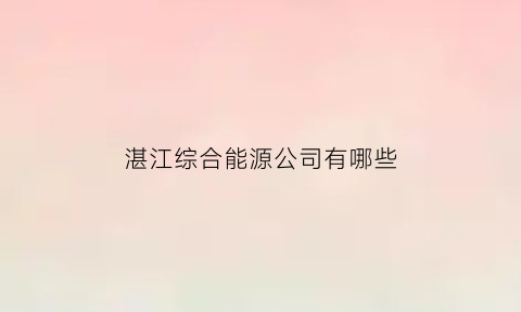 湛江综合能源公司有哪些