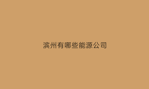 滨州有哪些能源公司