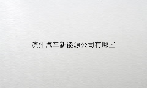 滨州汽车新能源公司有哪些