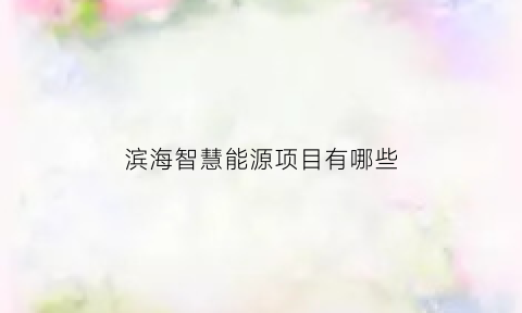 滨海智慧能源项目有哪些(滨海智慧能源项目有哪些企业)