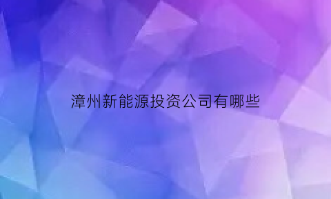 漳州新能源投资公司有哪些(漳州新能源投资公司有哪些项目)