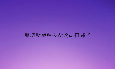 潍坊新能源投资公司有哪些