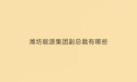 潍坊能源集团副总裁有哪些