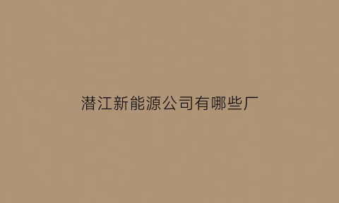 潜江新能源公司有哪些厂