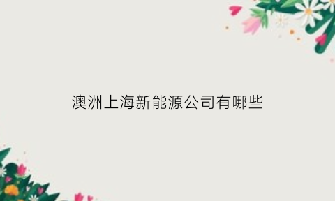 澳洲上海新能源公司有哪些