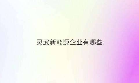 灵武新能源企业有哪些