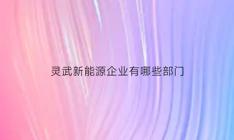 灵武新能源企业有哪些部门(灵武市能源有限公司与灵武供暖公司是一回事吗)