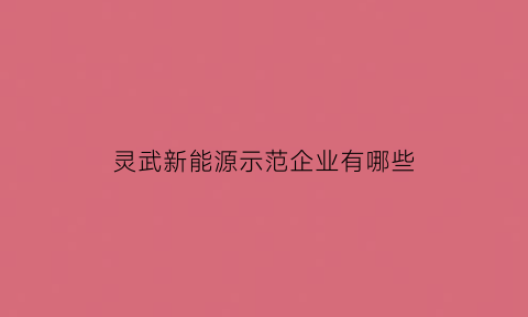 灵武新能源示范企业有哪些