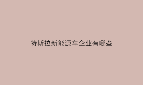 特斯拉新能源车企业有哪些