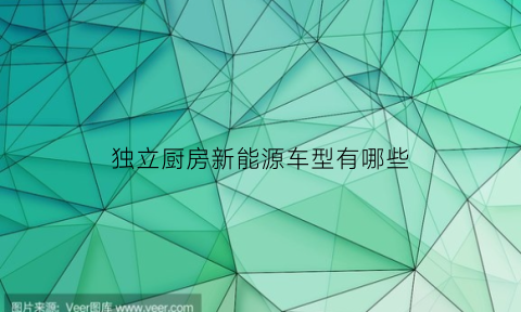 独立厨房新能源车型有哪些