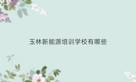 玉林新能源培训学校有哪些