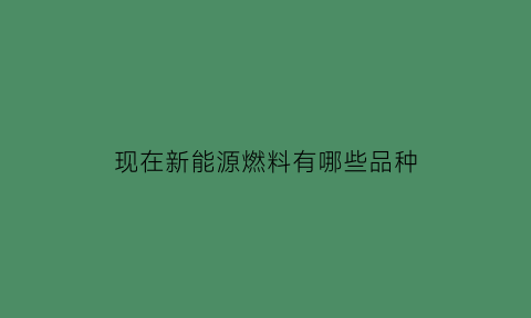 现在新能源燃料有哪些品种