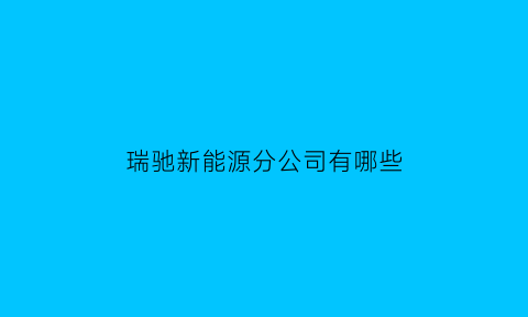 瑞驰新能源分公司有哪些