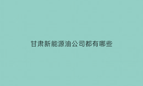 甘肃新能源油公司都有哪些