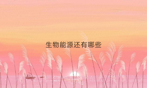 生物能源还有哪些(生物能源例子)