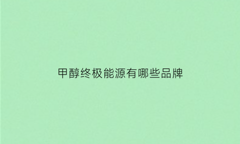 甲醇终极能源有哪些品牌