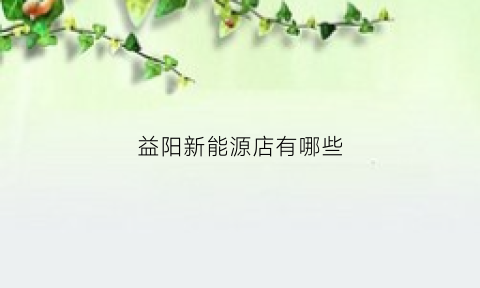 益阳新能源店有哪些(益阳新能源汽车租赁)