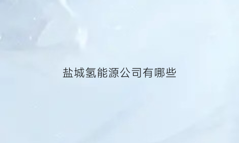 盐城氢能源公司有哪些