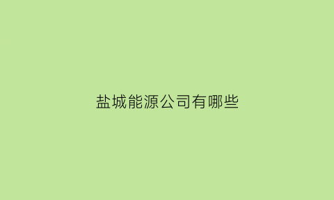 盐城能源公司有哪些