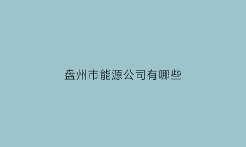 盘州市能源公司有哪些(盘州市能源局电话号码)