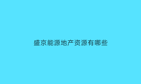 盛京能源地产资源有哪些