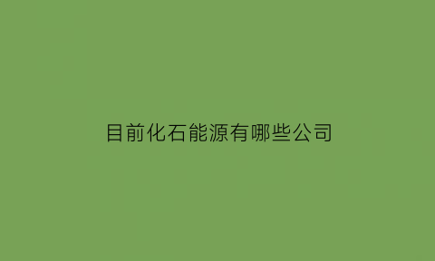 目前化石能源有哪些公司