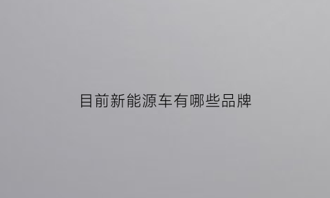 目前新能源车有哪些品牌