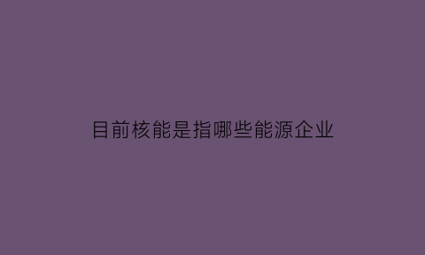 目前核能是指哪些能源企业