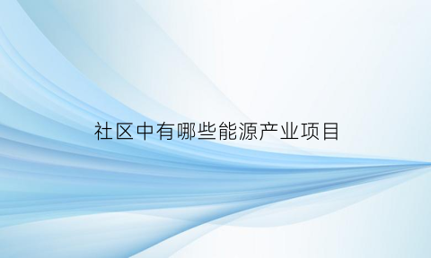 社区中有哪些能源产业项目(社区能源利用调查研究计划表)