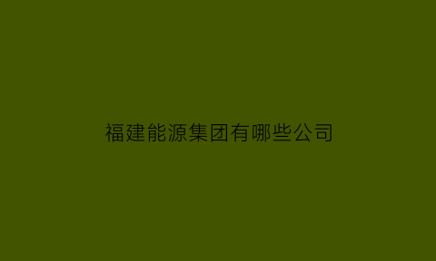 福建能源集团有哪些公司