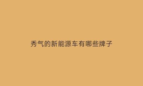 秀气的新能源车有哪些牌子