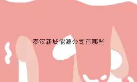 秦汉新城能源公司有哪些