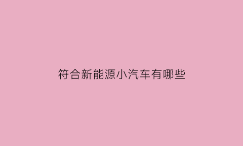 符合新能源小汽车有哪些