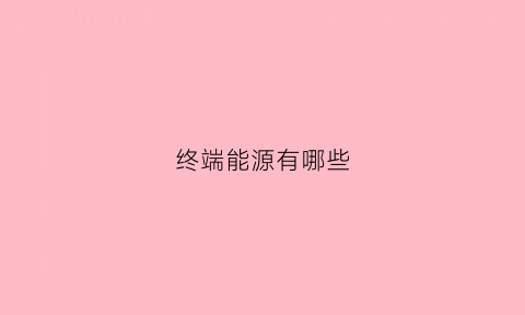 终端能源有哪些